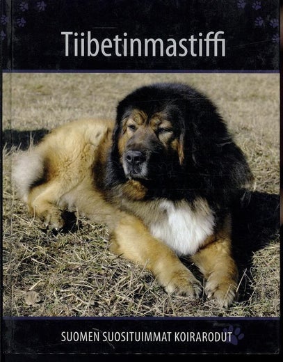 Tiibetinmastiffi - Suomen suosituimmat koirarodut